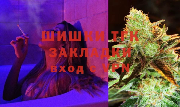 сатива Арсеньев