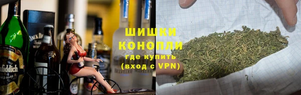 сатива Арсеньев