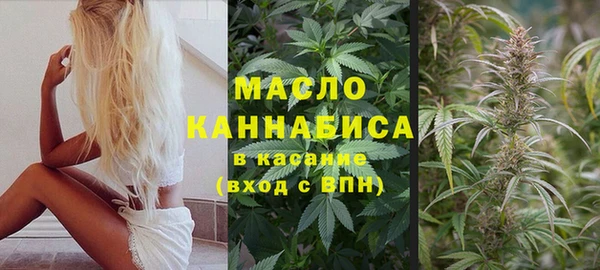 сатива Арсеньев