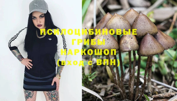 сатива Арсеньев