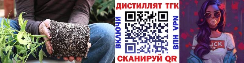 darknet клад  Сясьстрой  Дистиллят ТГК вейп с тгк  OMG  