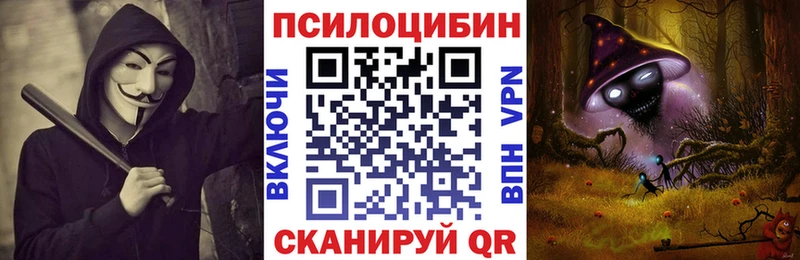 дарнет шоп  KRAKEN как зайти  Псилоцибиновые грибы Magic Shrooms  Сясьстрой 